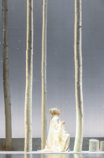 The Canadian Opera Company's 2016 production of Norma