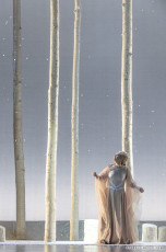 The Canadian Opera Company's 2016 production of Norma