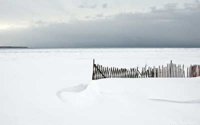 Bowsart Gallery Show – November 30 – December 14